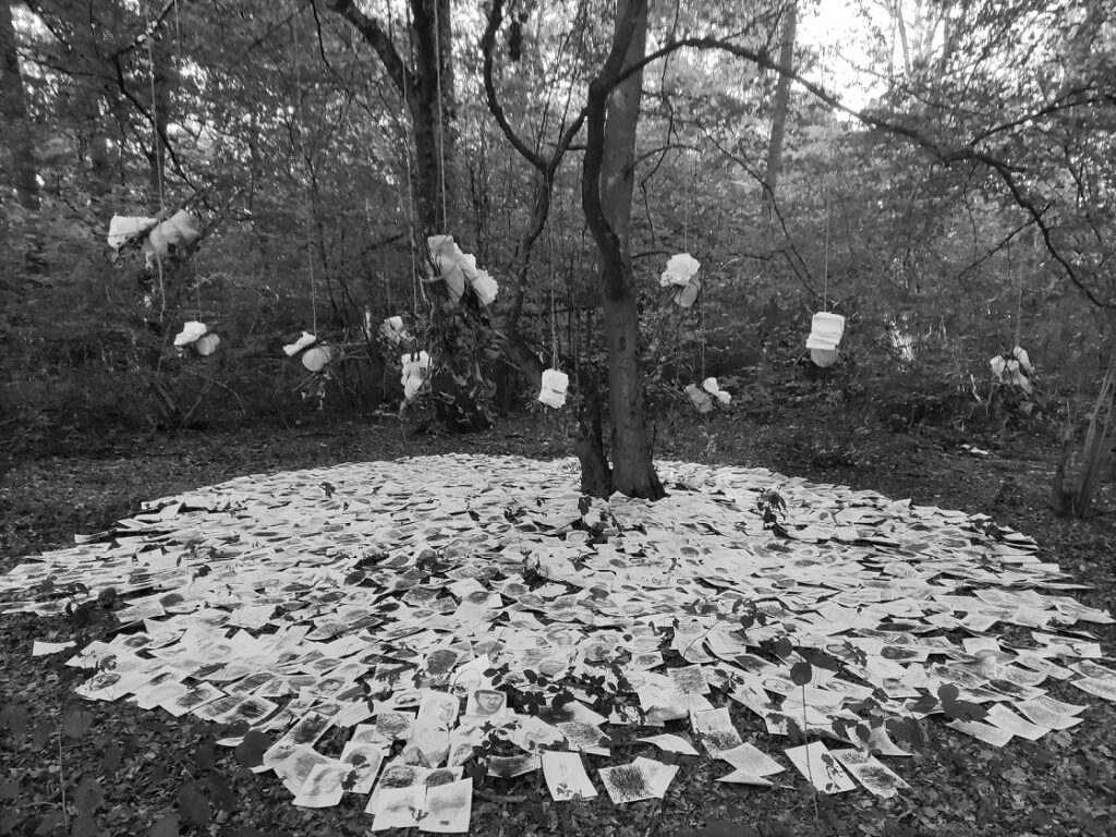 Accumulation